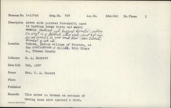 Documentation associated with Hearst Museum object titled Arrow, accession number 1-10768, described as Pointed foreshaft. Feathered with buzzard feathers. The shaft is of "tebetinil" which grows about 4 ft. high, has red berries, and the wood "smell stink" (rhus trilobata). Foreshaft of oak. Broken from being shot against a rock.