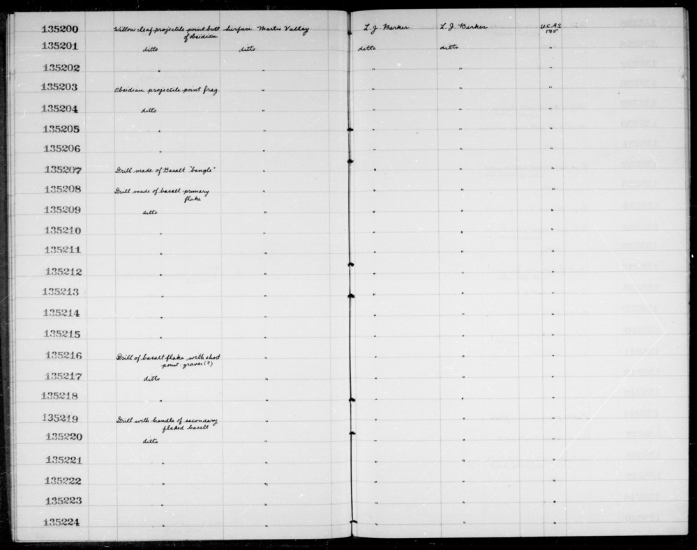 Documentation associated with Hearst Museum object titled Drill, accession number 1-135219, described as Drill; with handle of secondary flaked basalt.