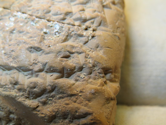 Hearst Museum object 22 of 132 titled Cuneiform tablet, accession number 9-2586, described as Neo-Babylonian Document from Erech