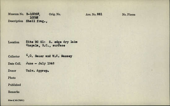 Documentation associated with Hearst Museum object titled Shell fragment, accession number 3-10251, described as Shell fragment.