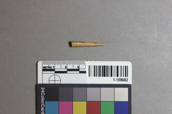 Hearst Museum object titled Worked bone, accession number 1-159682, described as Bone tip.