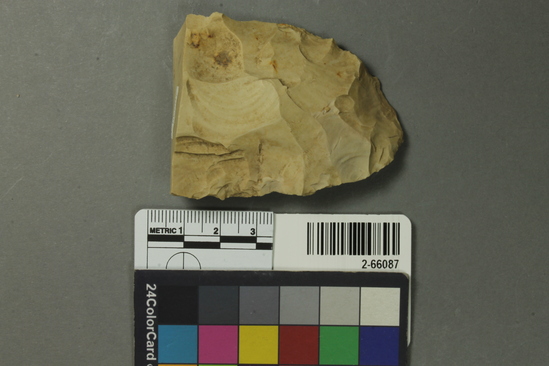 Hearst Museum object titled Biface fragment, accession number 2-66087, described as Lithics