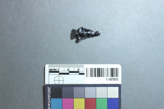 Hearst Museum object titled Projectile point, accession number 1-187870, described as Obsidian