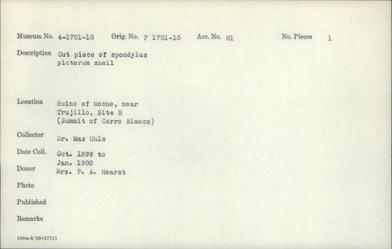 Documentation associated with Hearst Museum object titled Cut shell piece, accession number 4-1710, described as Cut piece of Spondylus pictorum shell.