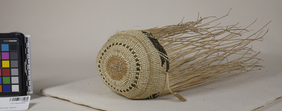 Hearst Museum object 3 of 3 titled Cap, accession number 1-214032, described as Unfinished basketry cap. Plain twined, except for start and single row defining design zone. Single faced overlay. White grass (Xerophyllum tenax) and maidenhair fern.