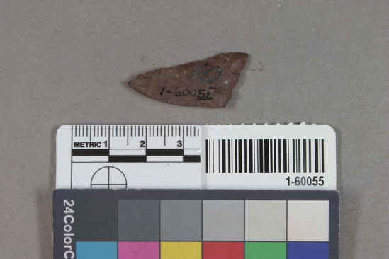 Hearst Museum object 2 of 2 titled Projectile point fragment, accession number 1-60055, described as Arrowpoint fragment