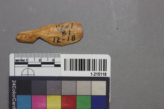 Hearst Museum object titled Whistle fragment, accession number 1-215118, described as Worked bone.