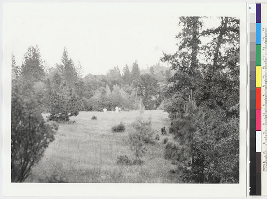 Hearst Museum object titled Black-and-white negative, accession number 15-7121, described as Central Miwok village site Eyeyaku, from west