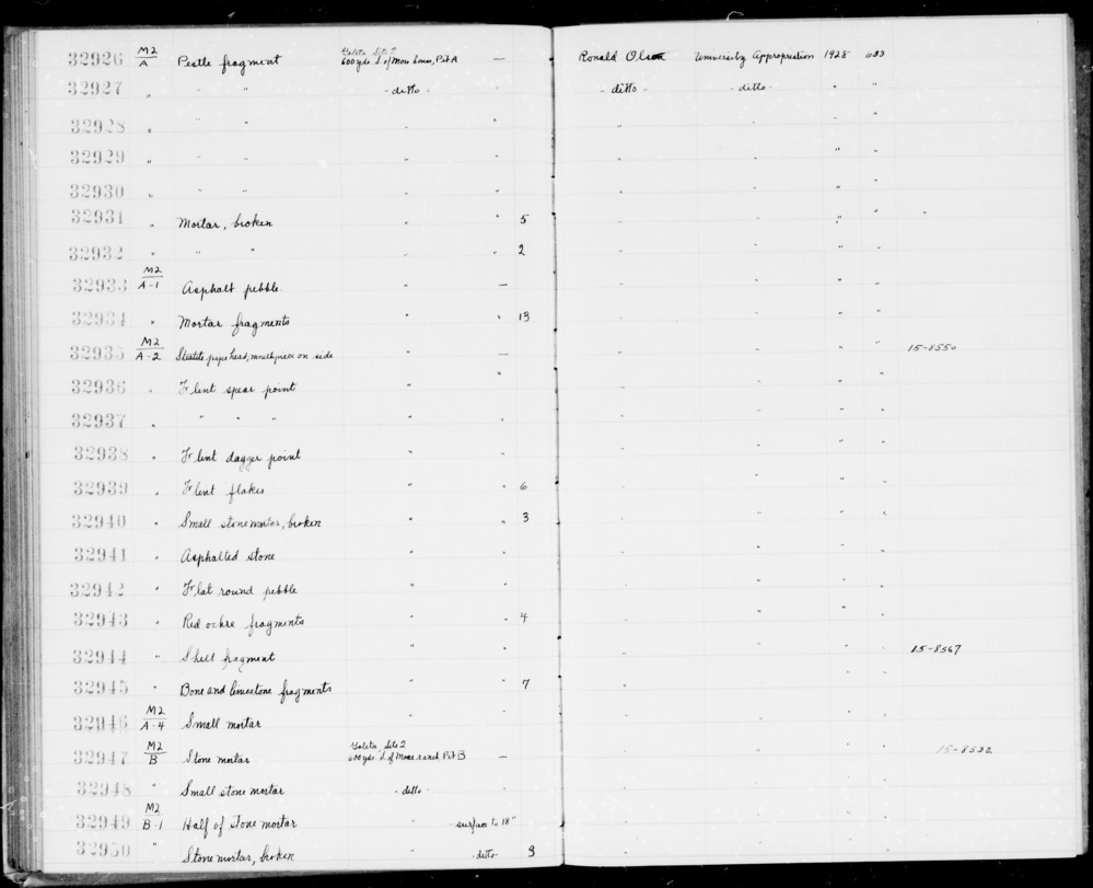 Documentation associated with Hearst Museum object titled Shell fragment, accession number 1-32944, described as Shell fragment