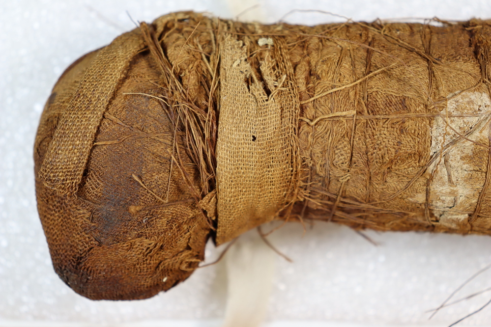 Hearst Museum object titled Cat mummy, accession number 5-14840, described as Mummy of an animal; possibly a cat; linen wrapped. Length: 27 cm.