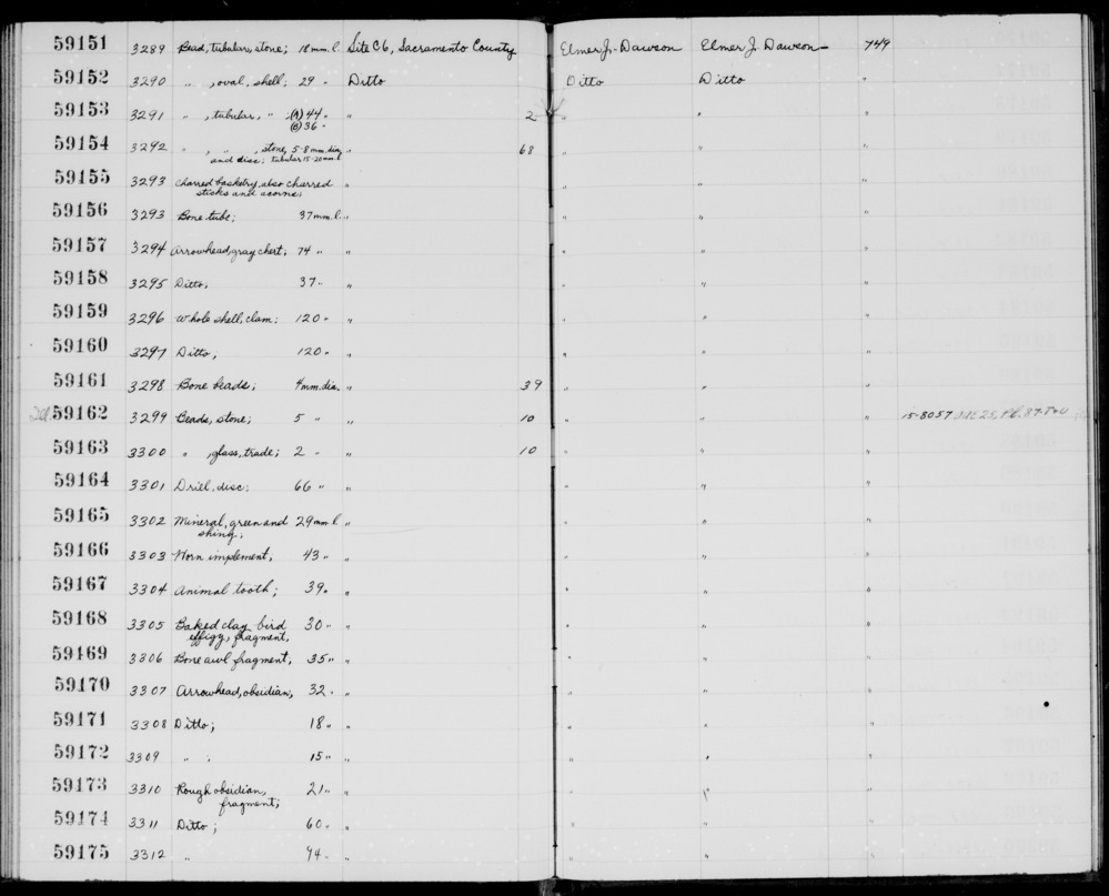 Documentation associated with Hearst Museum object titled Tooth, accession number 1-59167, described as Animal