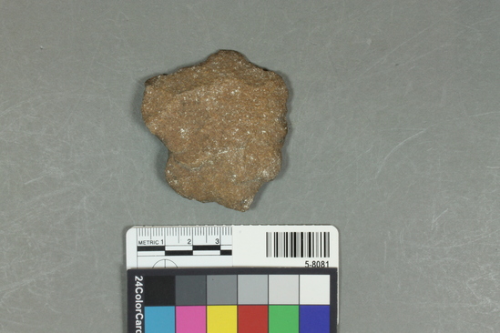 Hearst Museum object 1 of 2 titled Flake, accession number 5-8081, described as prepared core flake; unifacial; L 5.9cm