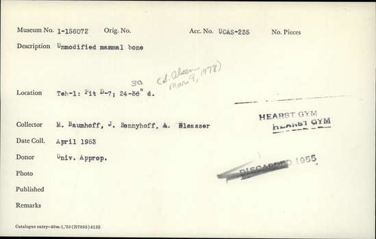 Documentation associated with Hearst Museum object titled Faunal remains, accession number 1-156072, described as Unmodified, mammal.