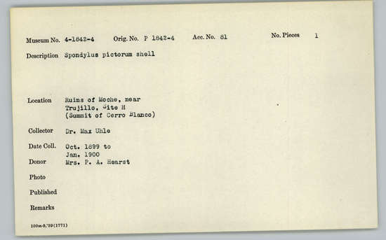 Documentation associated with Hearst Museum object titled Shell, accession number 4-1843, described as Spondylus pictorum shell.