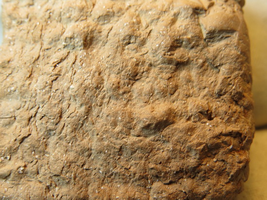 Hearst Museum object 129 of 132 titled Cuneiform tablet, accession number 9-2586, described as Neo-Babylonian Document from Erech