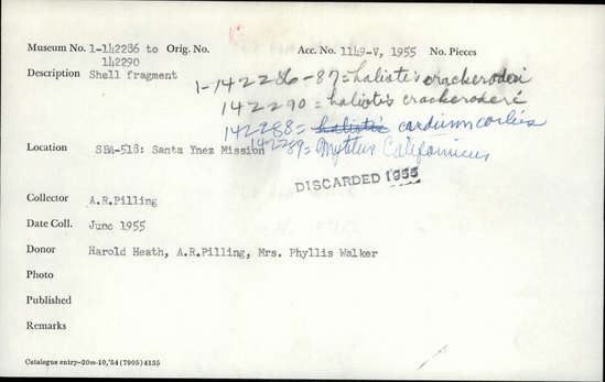 Documentation associated with Hearst Museum object titled Shell fragment, accession number 1-142288, described as Shell fragment.