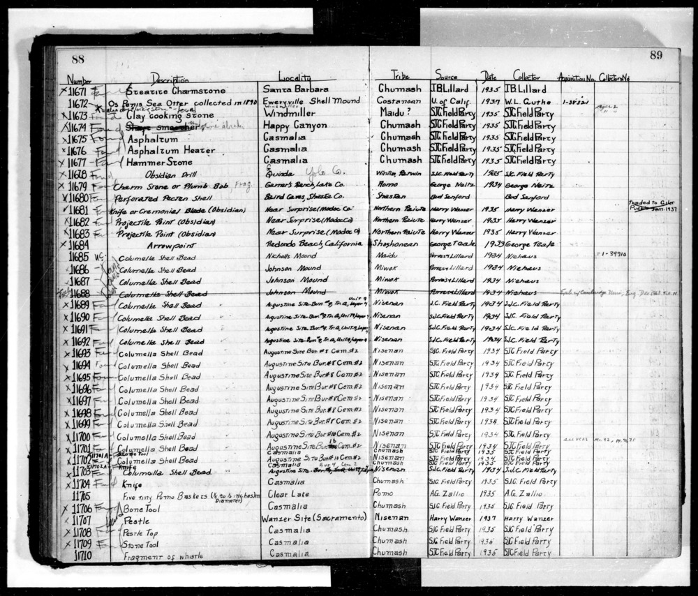 Documentation associated with Hearst Museum object titled Tube, accession number L-11700, described as Columella shell