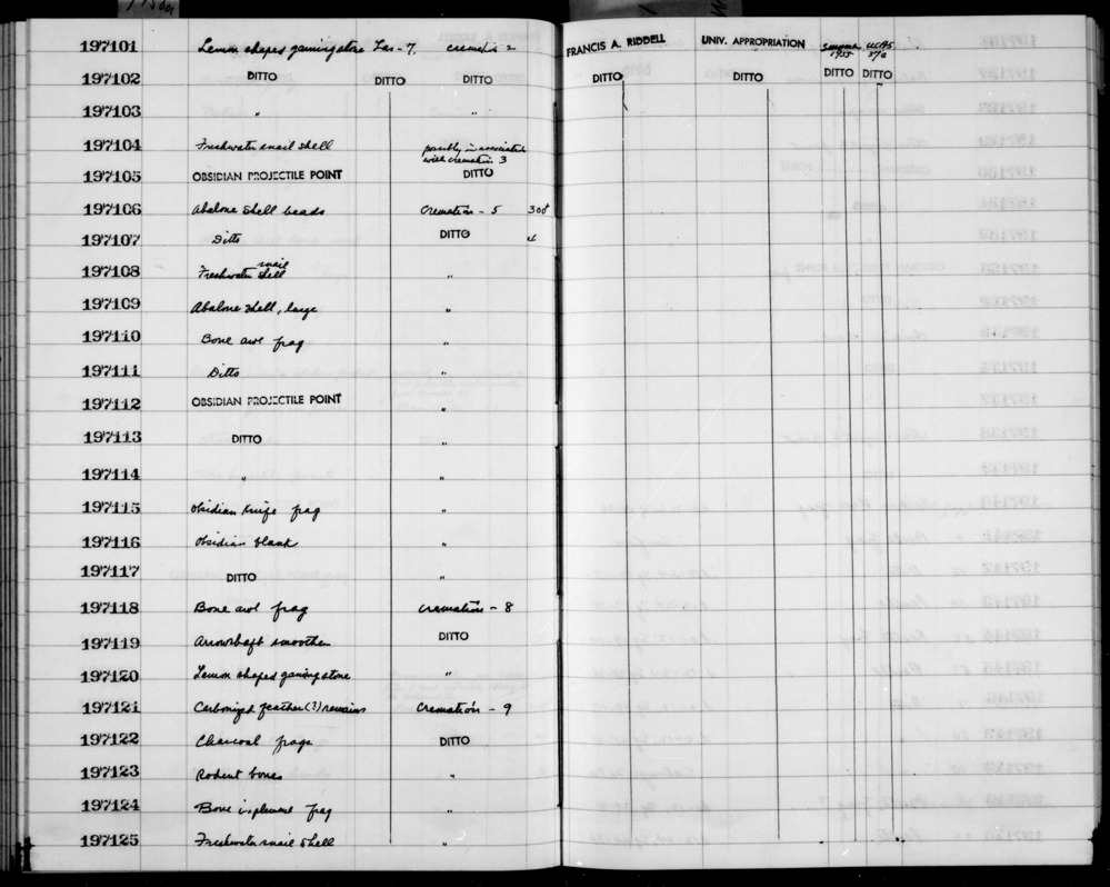 Documentation associated with Hearst Museum object titled Awl fragment, accession number 1-197110, described as Bone.