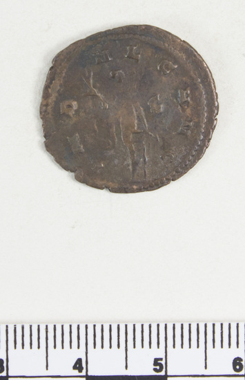 Hearst Museum object 7 of 8 titled Coin: æ, accession number 8-6163, described as Coin: Æ (AR?); Gallienus - 2.67 grams. Obverse: GALLIENVS AVG - Bust facing right, radiate, cuirassed. Reverse: IND V LG AVG - Spes walking facing left holding flowers and raising robe.