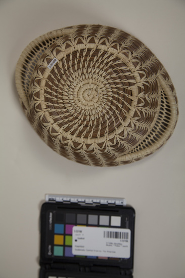 Hearst Museum object titled Basket, accession number 3-32198, described as Open-mouth basket made of pine needles, coiled and sewn with natural raffia. Handles has open stitch faggoting work.