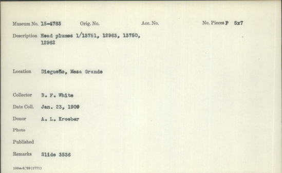 Documentation associated with Hearst Museum object titled Black-and-white negative, accession number 15-4763, described as Head plumes 1/13751, 12963, 13750, 12962