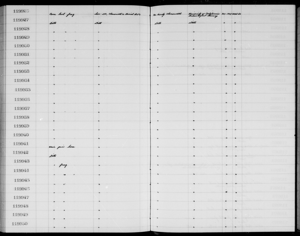 Documentation associated with Hearst Museum object titled Worked bone, accession number 1-119926, described as Bone.