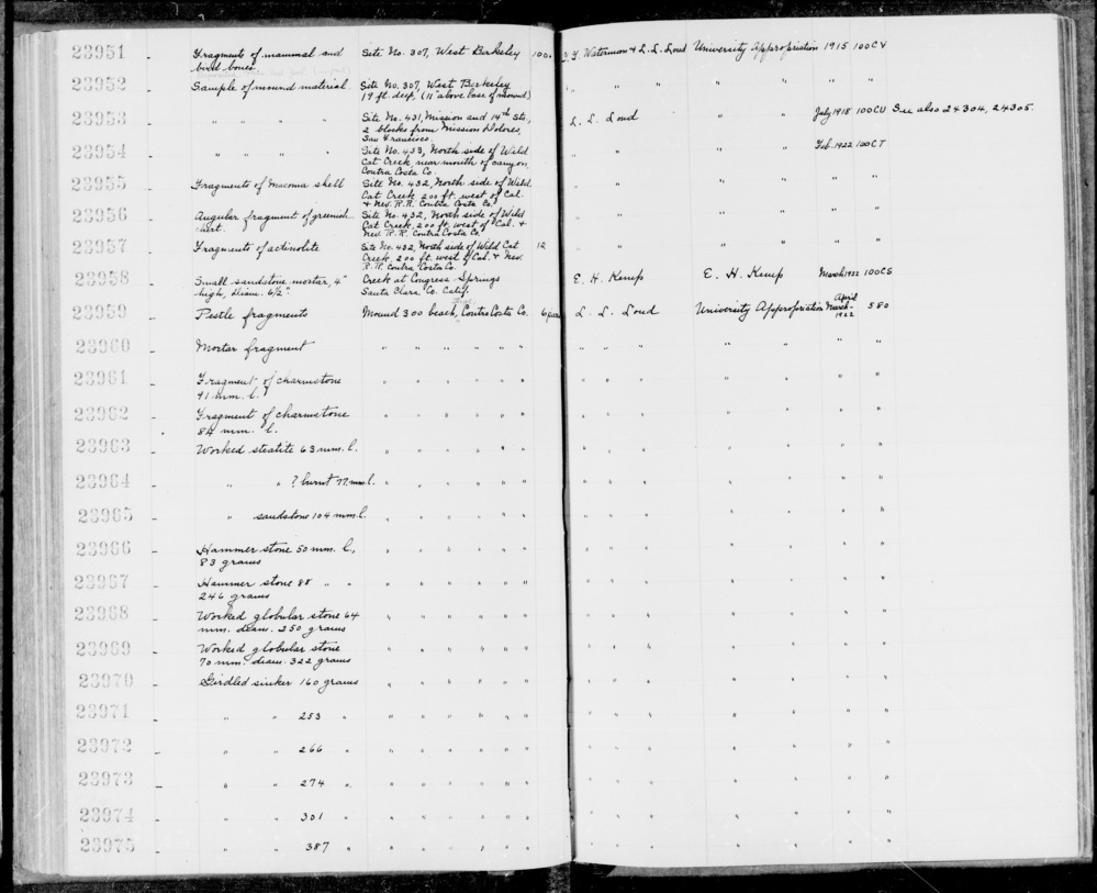 Documentation associated with Hearst Museum object titled Bird bone, accession number 1-23951b.7, described as Great horned owl (Bubo virginianus) bone.