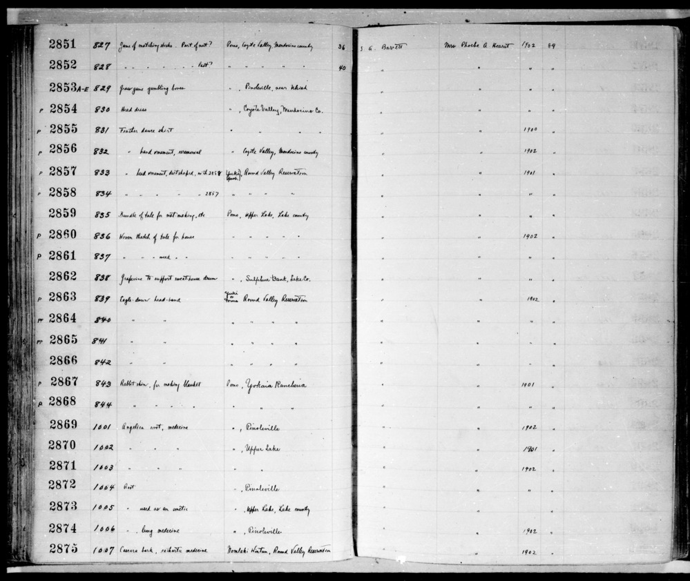 Documentation associated with Hearst Museum object titled Root, accession number 1-2871, described as Angelica