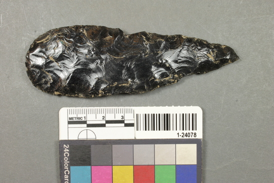 Hearst Museum object titled Knife or point, accession number 1-24078, described as Obsidian knife or spear point