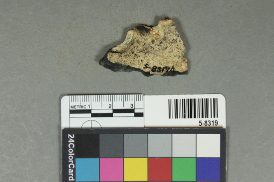 Hearst Museum object 1 of 25 titled Flakes, accession number 5-8319, described as Chert flakes