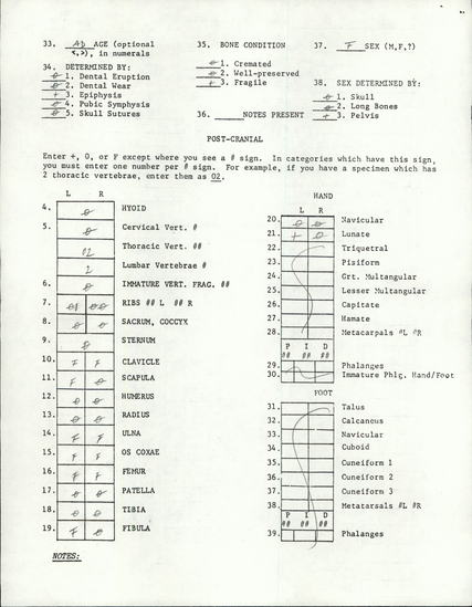 Documentation associated with Hearst Museum object titled Human remains, accession number 12-2821(0), described as The incomplete remains of a young adult male.