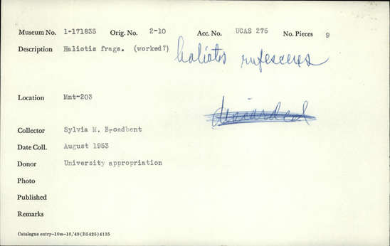 Documentation associated with Hearst Museum object titled Haliotis fragments, accession number 1-171835, described as Haliotis fragments (worked?)