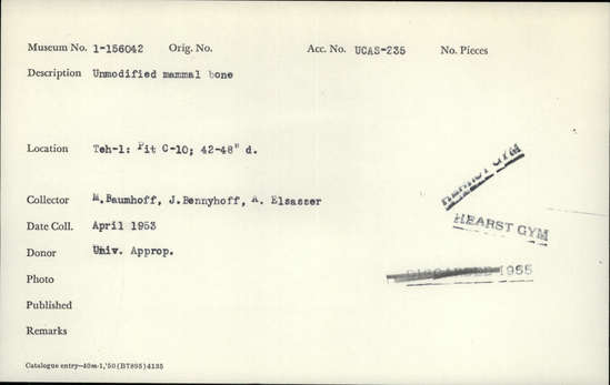 Documentation associated with Hearst Museum object titled Faunal remains, accession number 1-156042, described as Unmodified, mammal.