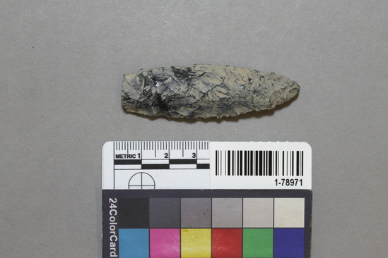 Hearst Museum object titled Point, accession number 1-78971, described as Obsidian.