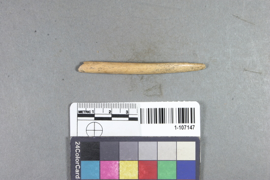 Hearst Museum object titled Worked bone, accession number 1-107147, described as Pointed bone.