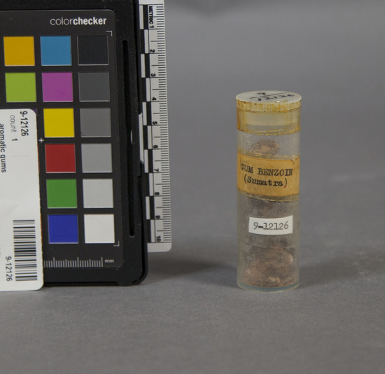 Hearst Museum object titled Aromatic gums, accession number 9-12126, described as Gum benzoin; natural balsamic resin exuded from a small tree Styrax Benzoin growing exclusively in Sumatra and in Malaya; yellow granules in plastic vial. 8 cm x 2.5 cm. In perfumes of harsh balsamic or sharp floral variety e.g. hyacinth new mown hay, etc. Also in pharmaceutical preparations.