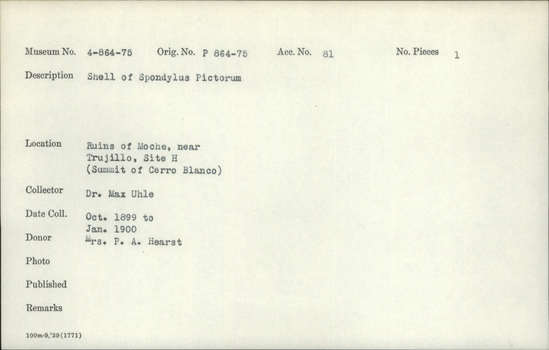 Documentation associated with Hearst Museum object titled Shell, accession number 4-864, described as Shell of Spondylus pictorum.