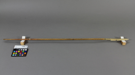 Hearst Museum object 3 of 5 titled Arrow, accession number 2-13572, described as Barbed bone point, feathers missing.