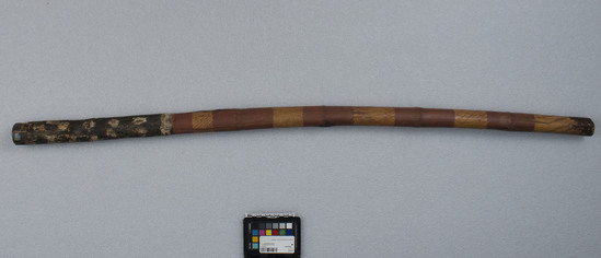 Hearst Museum object 2 of 2 titled Didgeridoo, accession number 11-42737, described as Didgeridoo, bamboo, 5 natural horizontal bands with incised design, stained brown, painted black with white at one end. Length: 126.3 cm.