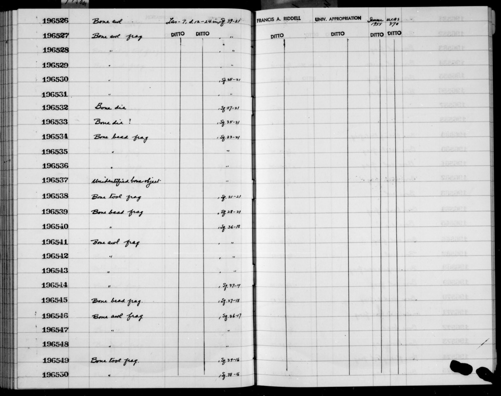 Documentation associated with Hearst Museum object titled Awl fragment, accession number 1-196546, described as Made of bone.