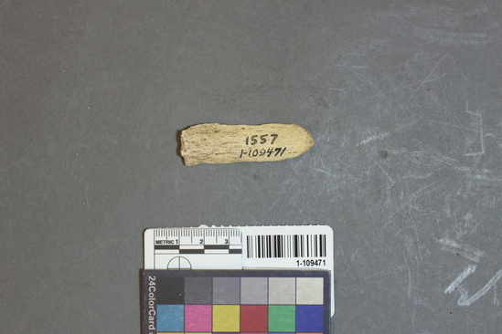 Hearst Museum object titled Worked bone, accession number 1-109471, described as Bone