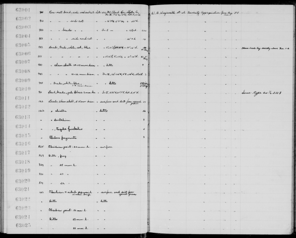 Documentation associated with Hearst Museum object titled Beads, accession number 1-63014, described as Tegula funebralis