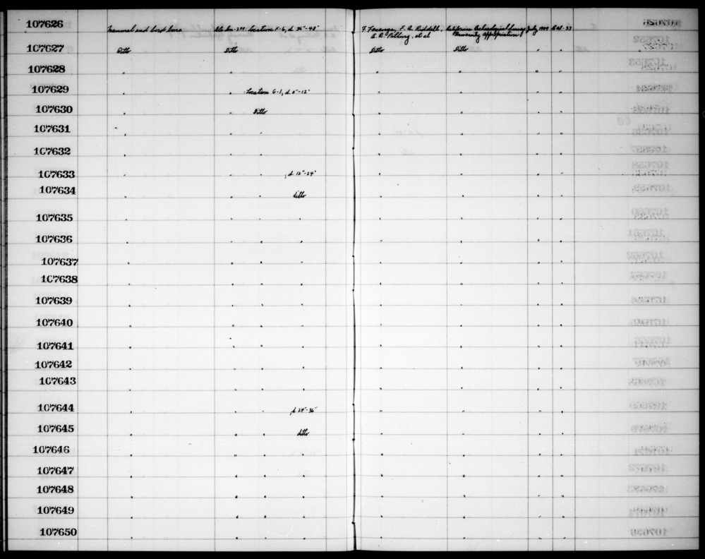 Documentation associated with Hearst Museum object titled Faunal remains, accession number 1-107648, described as Mammal and bird bone.