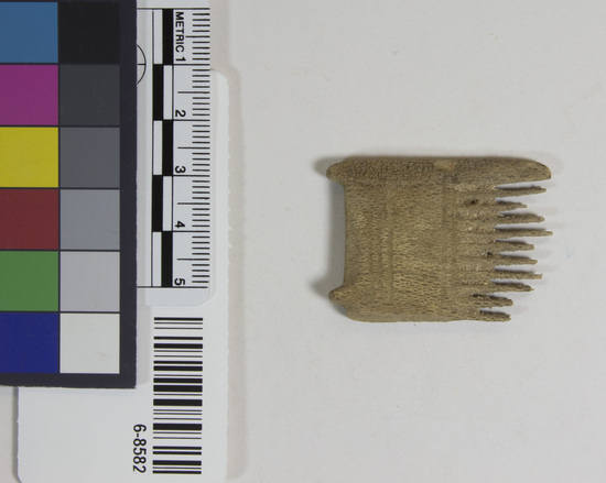Hearst Museum object titled Comb fragment, accession number 6-8582, described as Wooden comb fragment.