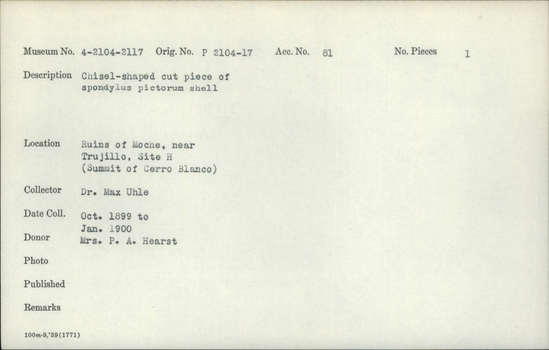 Documentation associated with Hearst Museum object titled Worked shell, accession number 4-2116, described as Chisel-shaped cut piece of Spondylus pictorum shell.