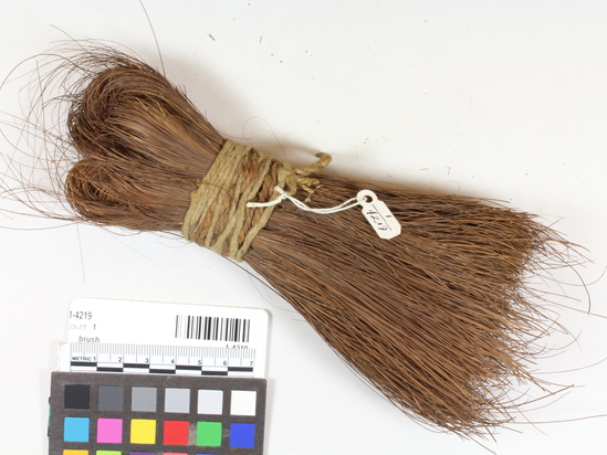 Hearst Museum object titled Brush, accession number 1-4219, described as Brush soaproot; fibers bunched together at middle and bound with twine to form handle;